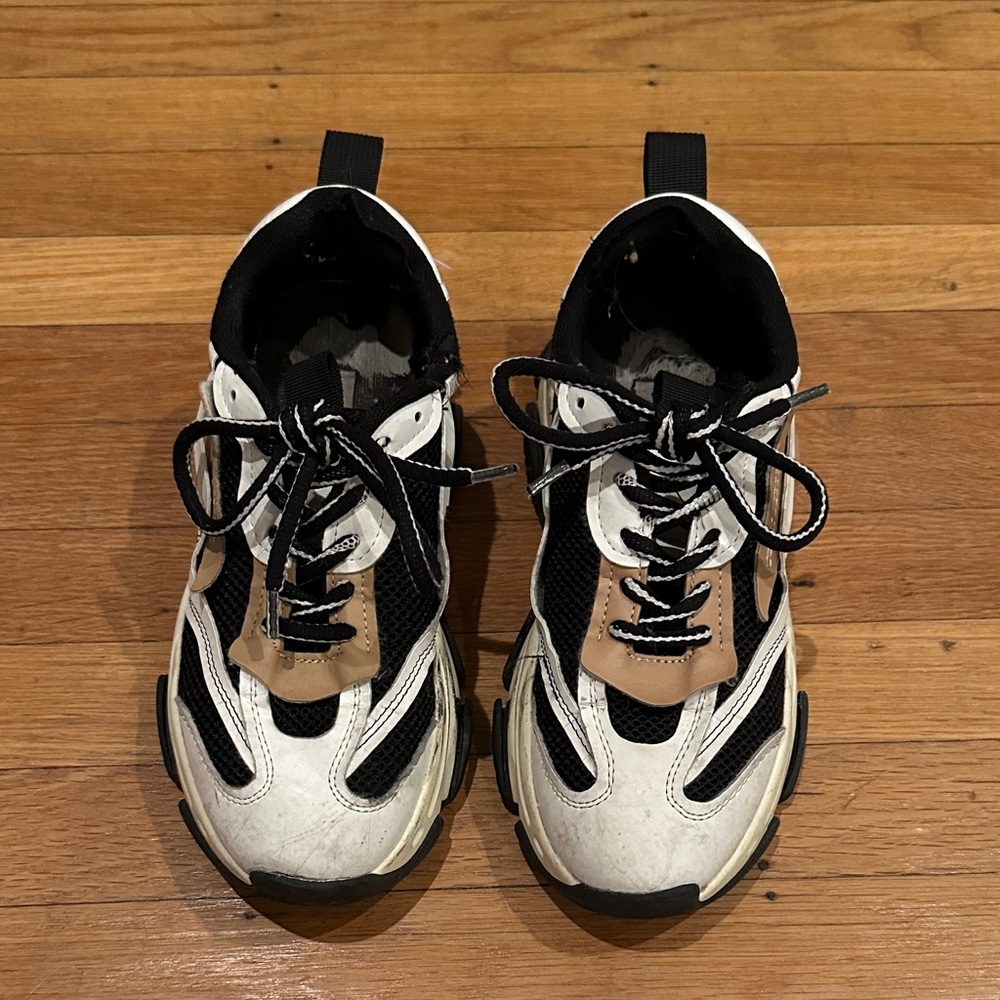 Steve Madden Black and White Sneakers